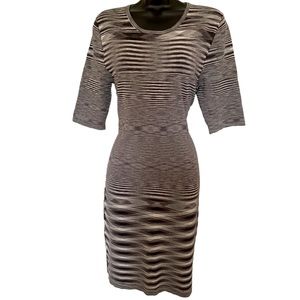 Minnie Rose Stretchy Knit Bodycon Sz Lg